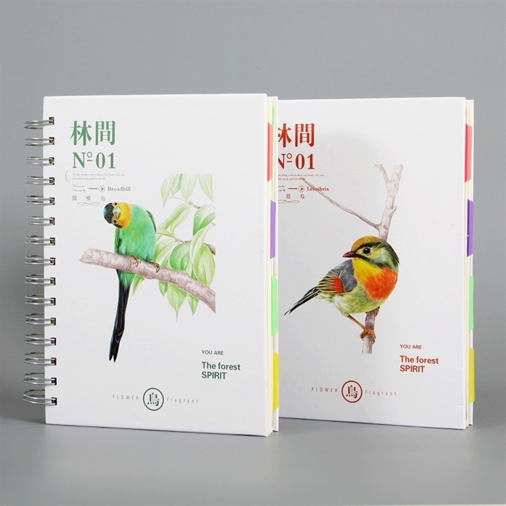 Printing And Spiral Binding