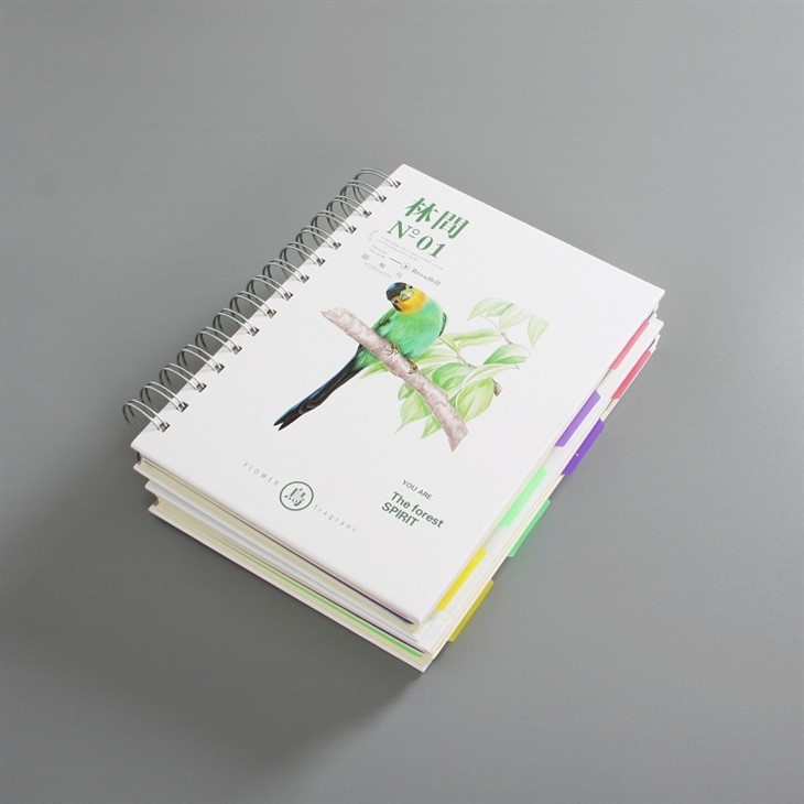 Printing And Spiral Binding